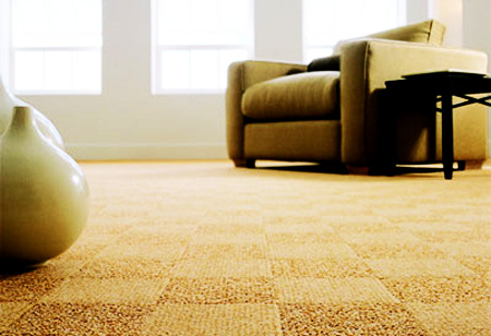 Top 8 Reasons for Professional Carpet Cleaning