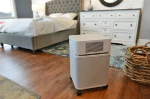 How to Choose the Right Air Purifier for Your Home