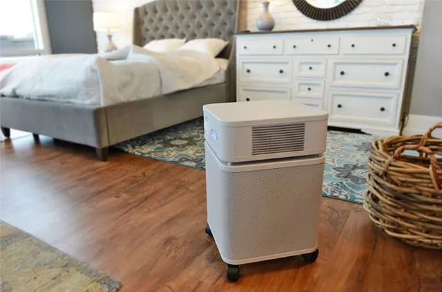 How to Choose the Right Air Purifier for Your Home